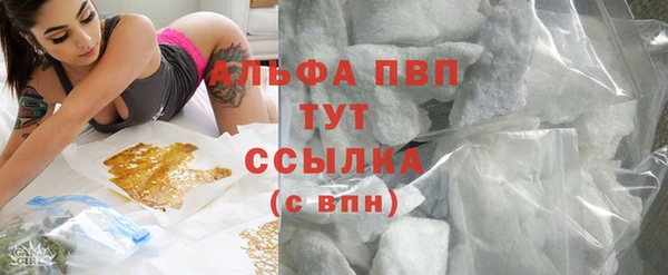 индика Пересвет