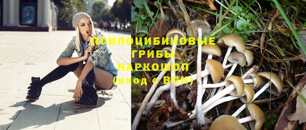 наркотики Алексеевка
